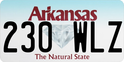 AR license plate 230WLZ