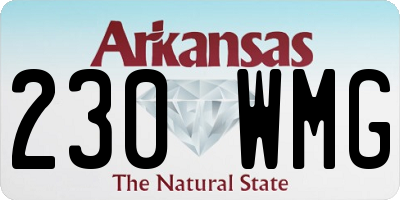 AR license plate 230WMG