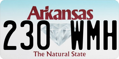 AR license plate 230WMH