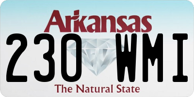 AR license plate 230WMI