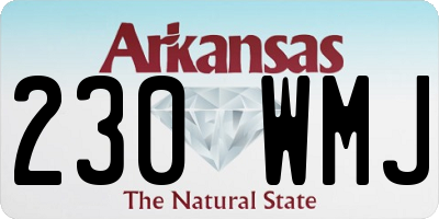 AR license plate 230WMJ