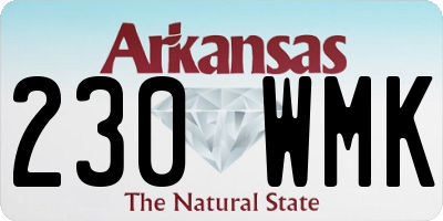 AR license plate 230WMK