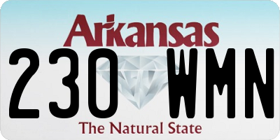 AR license plate 230WMN
