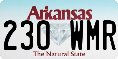 AR license plate 230WMR