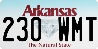 AR license plate 230WMT
