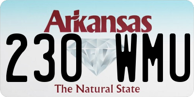 AR license plate 230WMU