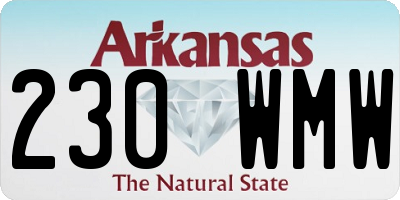 AR license plate 230WMW