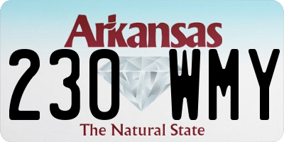 AR license plate 230WMY
