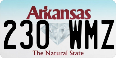 AR license plate 230WMZ