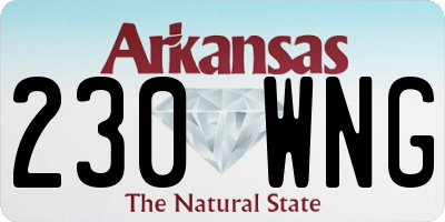 AR license plate 230WNG