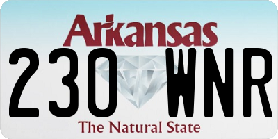 AR license plate 230WNR