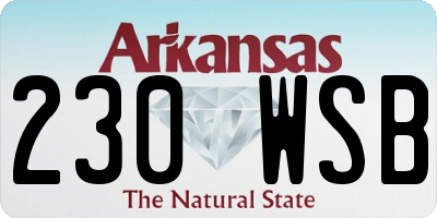 AR license plate 230WSB