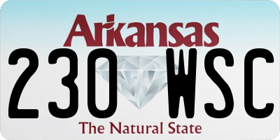AR license plate 230WSC