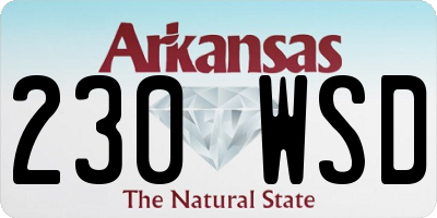 AR license plate 230WSD