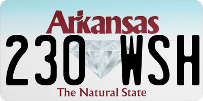 AR license plate 230WSH