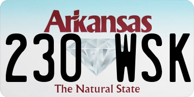 AR license plate 230WSK