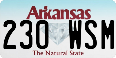 AR license plate 230WSM