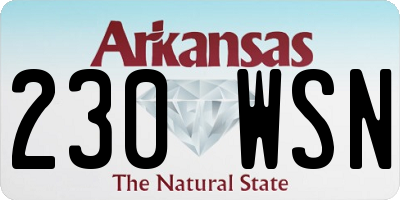 AR license plate 230WSN