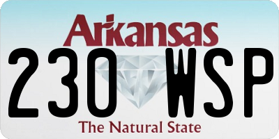 AR license plate 230WSP