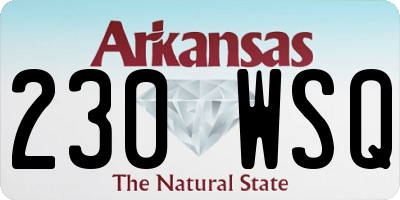 AR license plate 230WSQ