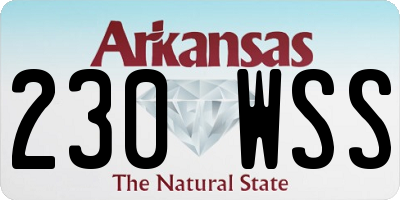 AR license plate 230WSS