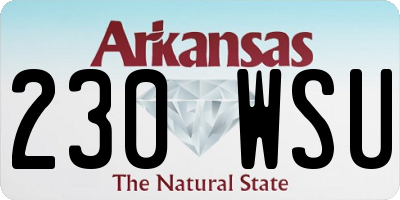 AR license plate 230WSU