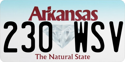 AR license plate 230WSV