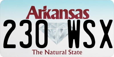 AR license plate 230WSX