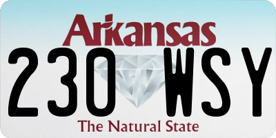 AR license plate 230WSY