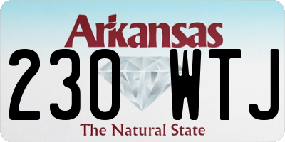 AR license plate 230WTJ