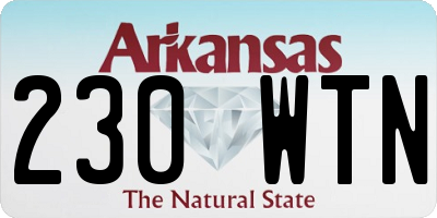 AR license plate 230WTN