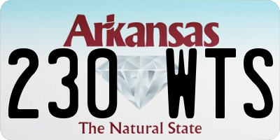 AR license plate 230WTS