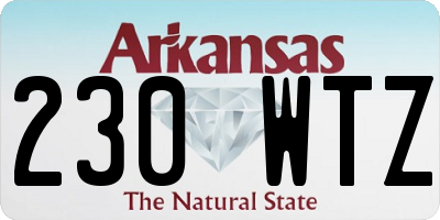 AR license plate 230WTZ