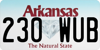 AR license plate 230WUB