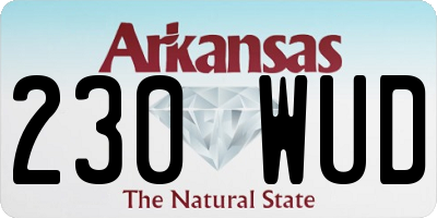 AR license plate 230WUD