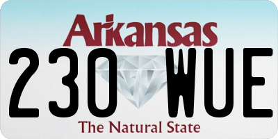 AR license plate 230WUE
