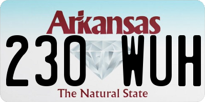 AR license plate 230WUH