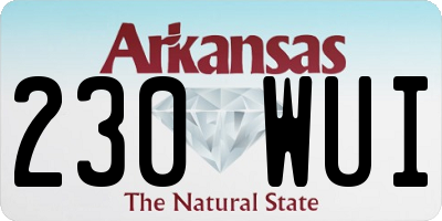 AR license plate 230WUI