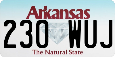 AR license plate 230WUJ