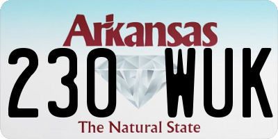 AR license plate 230WUK