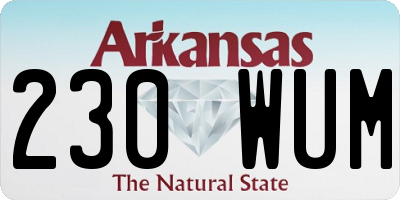 AR license plate 230WUM
