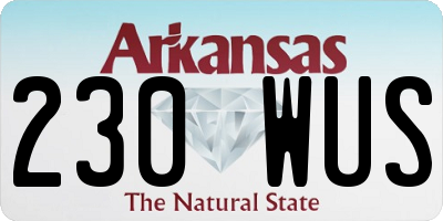 AR license plate 230WUS