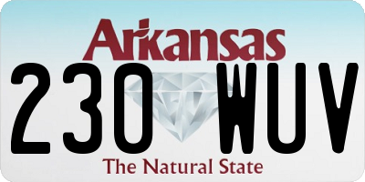 AR license plate 230WUV