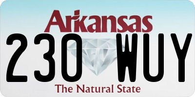 AR license plate 230WUY