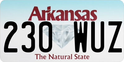 AR license plate 230WUZ