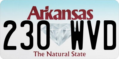 AR license plate 230WVD