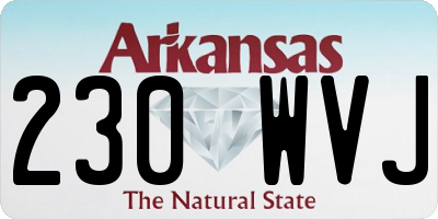 AR license plate 230WVJ
