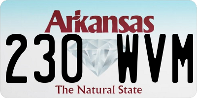 AR license plate 230WVM