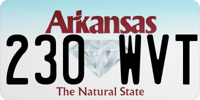 AR license plate 230WVT