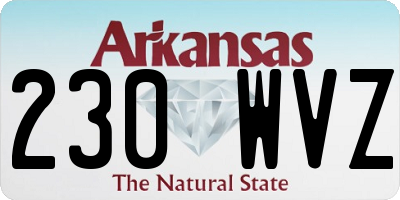 AR license plate 230WVZ